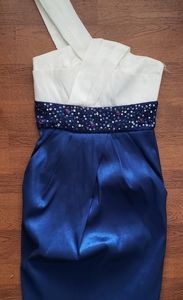 Navy Blue & Ivory Party Dress